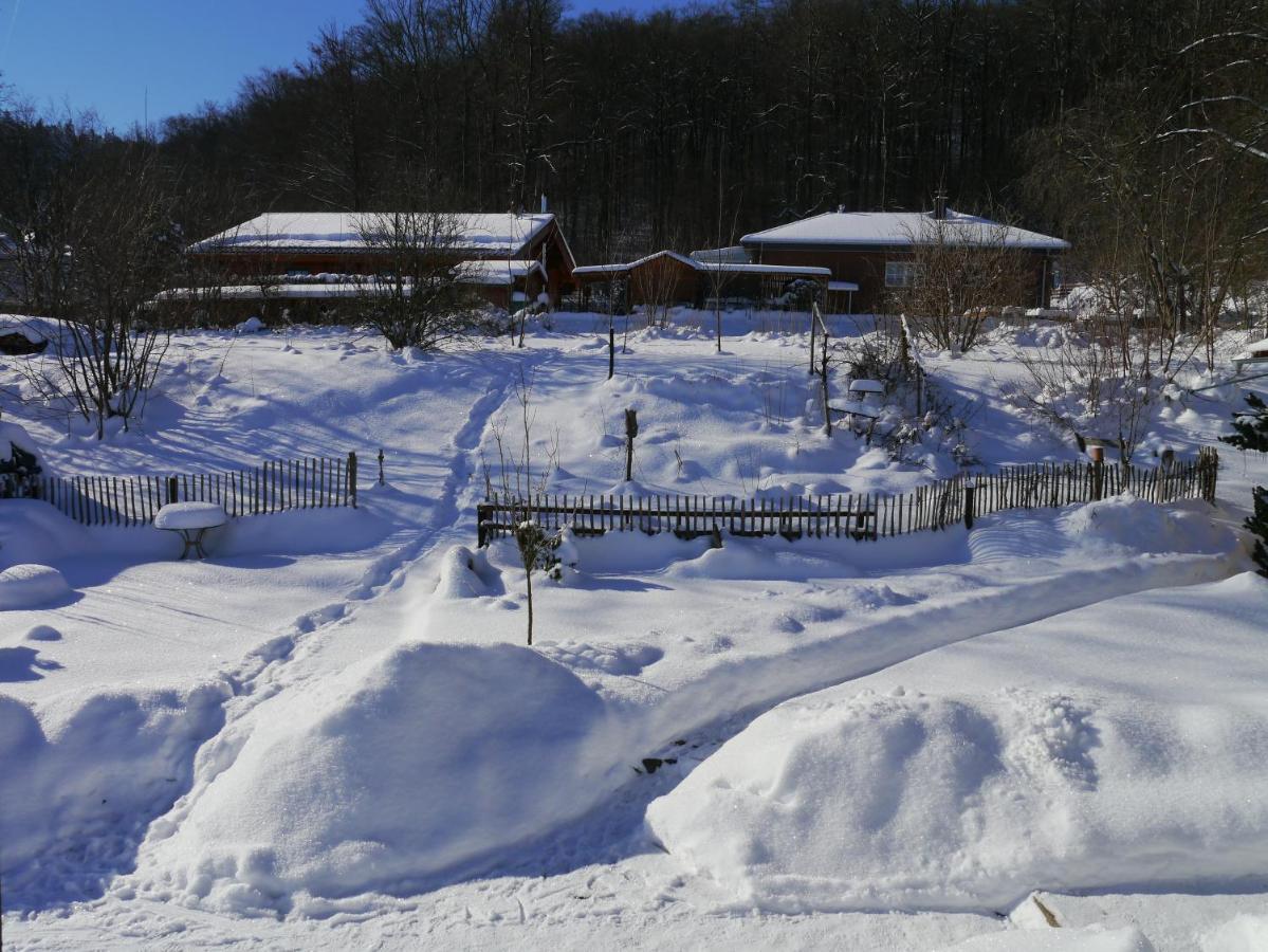 Elfenhaeuschen Mit 3 Dtv Sternen Ausgezeichnet Villa Bad Harzburg Kültér fotó