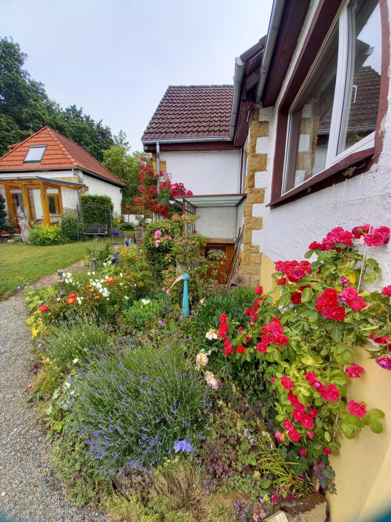 Elfenhaeuschen Mit 3 Dtv Sternen Ausgezeichnet Villa Bad Harzburg Kültér fotó